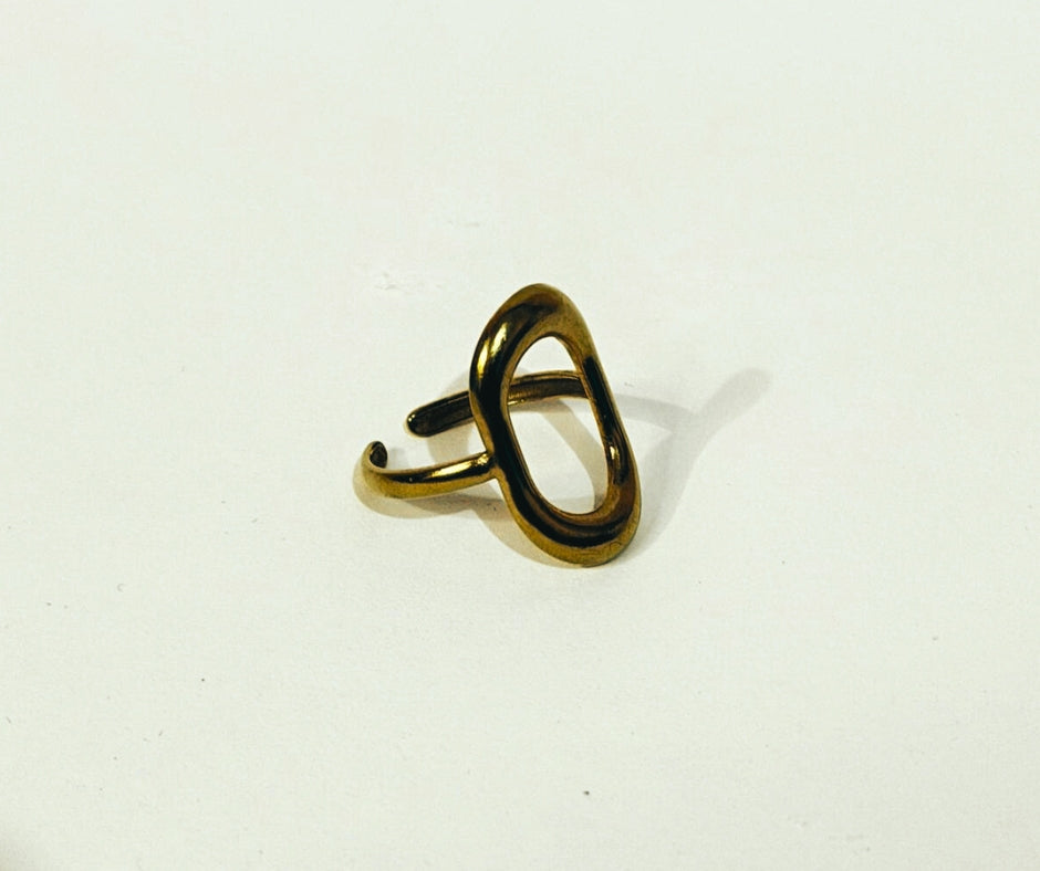 Anillo Órbita