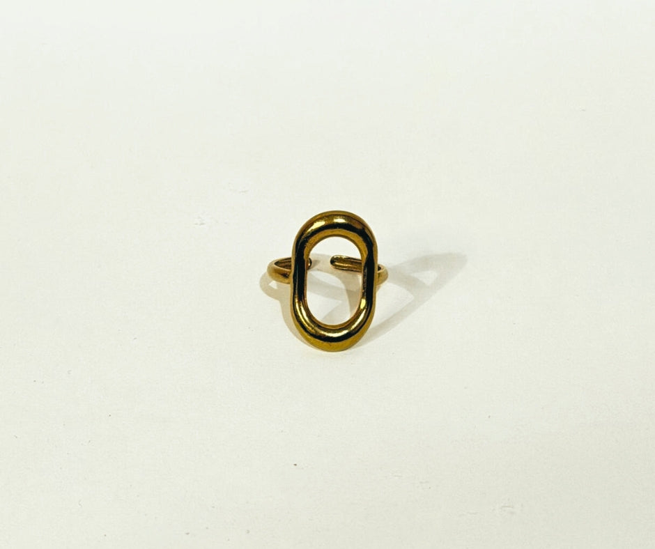 Anillo Órbita